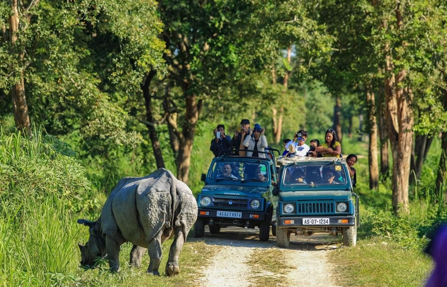 Assam Wildlife Safari