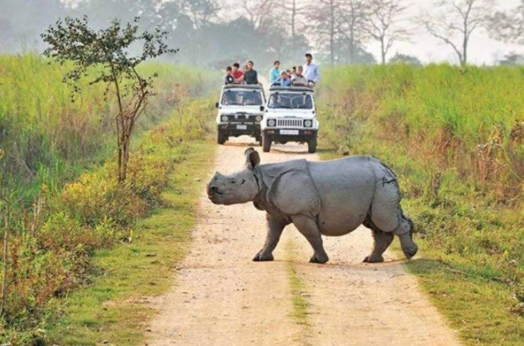 Safari Package Image 4